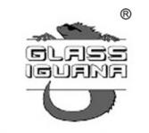 GLASSIGUANA