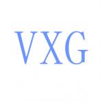 VXG